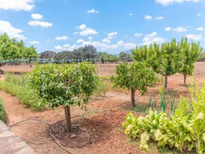 Villa Son Catxo - Villa With Private Pool In Búger - Environment photo 29