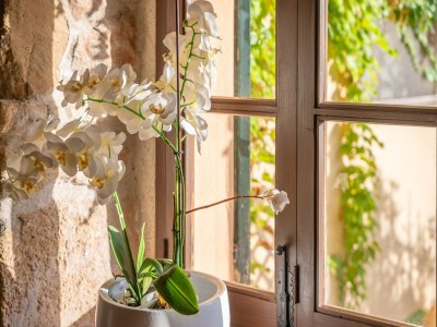 Villa L'eresta - Villa With Private Pool. Free Wifi - Outdoor photo 35