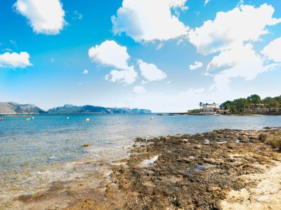 Holiday house Can Mir - Haus In Marina Manresa. Wifi Gratis - Environment photo 45