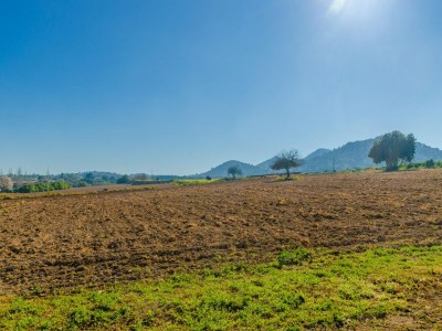 Villa Na Molla - Ferienhaus Mit Privatem Pool In Manacor - Environment photo 35