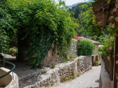 Holiday house S'olivaret (fornalutx) - Country House. Free Wifi - Environment photo 20