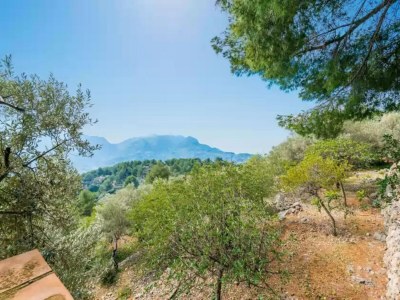 Holiday house S'olivaret (fornalutx) - Country House. Free Wifi - Environment photo 23