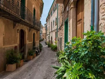 Holiday house S'olivaret (fornalutx) - Country House. Free Wifi - Environment photo 25