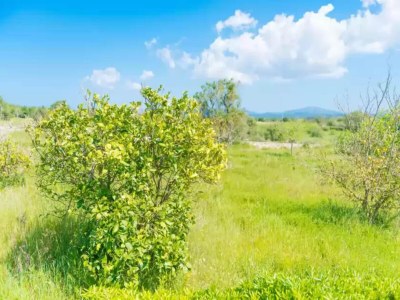 Holiday house Casa Holganza - House In Maria De La Salut - Environment photo 23