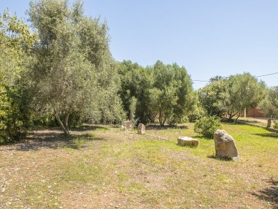 Villa Finca Sa Plana - Villa With Private Pool - Outdoor photo 12
