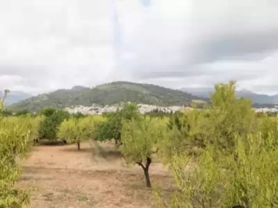 Holiday house Casa Vella (vall Petit) - House With Free Wifi - Environment photo 33