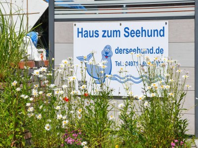 Apartment Gemütliche Ferienwohnung mit Balkon - Outdoor photo 7