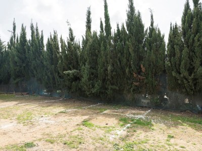 Villa Casa Amelie - Ferienhaus Mit Privatem Pool - Outdoor photo 33