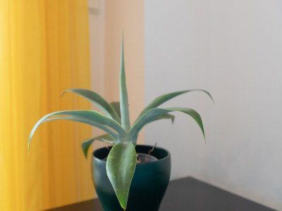 Apartment Marina De La Duquesa 805 - Apartment In Manilva - Outdoor photo 30