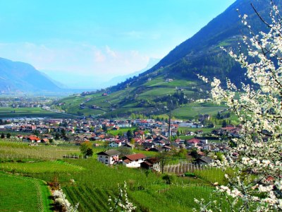 Apartment Type H "Smaragd" - Environment photo 18