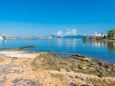 Apartment Xarus 1 - Apartment In Marina Manresa. Wifi Gratis - Environment photo 31