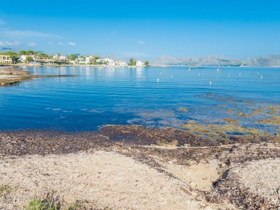 Apartment Xarus 1 - Apartment In Marina Manresa. Wifi Gratis - Environment photo 32