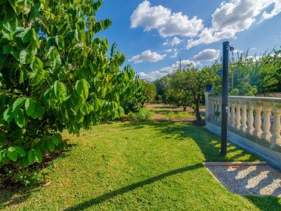 Villa Can Rius - Ferienhaus Mit Privatem Pool In Muro - Environment photo 39