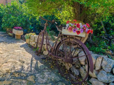 Villa Can Rius - Ferienhaus Mit Privatem Pool In Muro - Outdoor photo 40