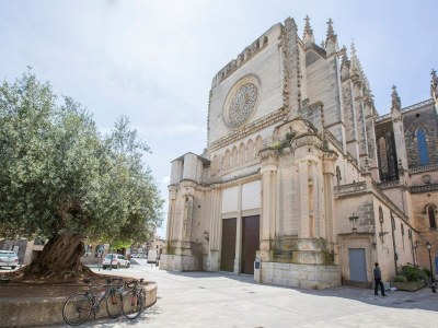 Villa Casa Puig De Na Franquesa - Villa With Pool - Environment photo 32