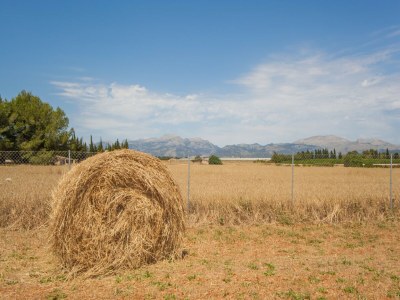 Villa S'estacio - Ferienhaus Mit Privatem Pool In Muro - Environment photo 28