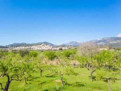 Villa Ses Planes (ca Na Faustina) - Villa With Pool - Environment photo 18