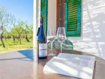 Villa Ses Planes (ca Na Faustina) - Villa With Pool - Outdoor photo 20