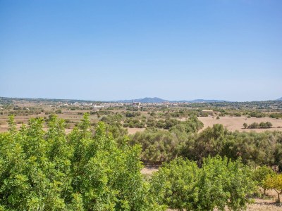Villa Sa Font - Villa With Private Pool In Petra - Outdoor photo 36