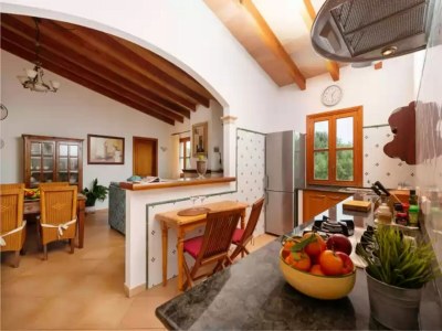 Holiday house Can Carrio - Country House In Son Servera - Features photo 20