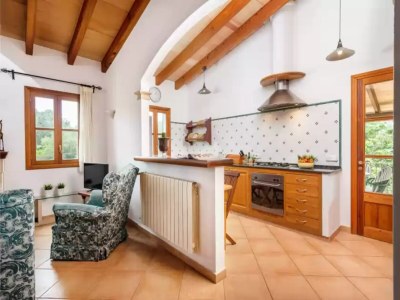 Holiday house Can Carrio - Country House In Son Servera - Features photo 25