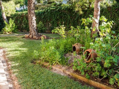 Holiday house Miloca - Haus In Platja De Muro. Wifi Gratis - Outdoor photo 10