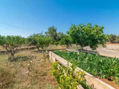 Holiday house Sa Raconada - Country House In Algaida. Free Wifi - Environment photo 25