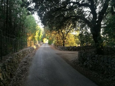 Villa Can Serra - Ferienhaus Mit Privatem Pool - Environment photo 6