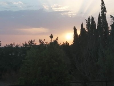 Villa Can Serra - Ferienhaus Mit Privatem Pool - Environment photo 13