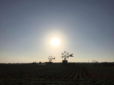 Villa Can Serra - Ferienhaus Mit Privatem Pool - Environment photo 16