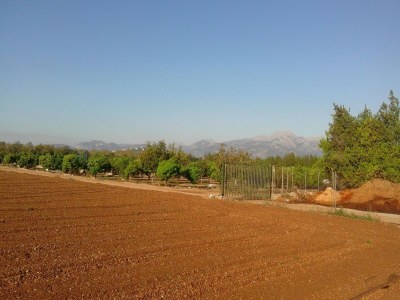 Villa Can Serra - Ferienhaus Mit Privatem Pool - Environment photo 20