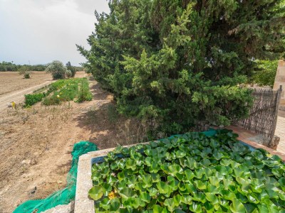 Villa Can Ribas - Villa With Private Pool. Free Wifi - Outdoor photo 2