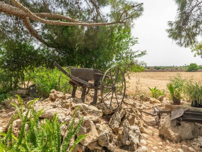 Villa Can Ribas - Villa With Private Pool. Free Wifi - Outdoor photo 39