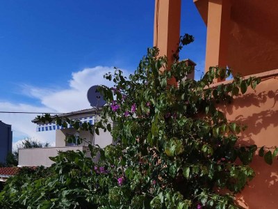 Apartment One bedroom apartment with terrace and sea view Zadar - Diklo, Zadar A-6268-b - Outdoor photo 6