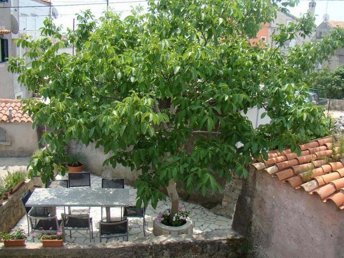 Holiday house Four-bedroom house with terrace Orlec, Cres K-19938 - Outdoor photo 5