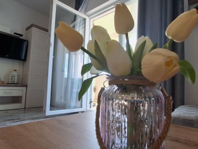 Apartment Belisima Delux - One Bedroom Apartment With Sea View - Features photo 3