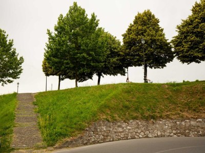 Holiday house Geräumiges Apartment mit privatem Garten - Outdoor photo 19