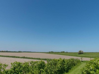 Holiday park De Stelhoeve Ferienaufenthalt - Environment photo 31