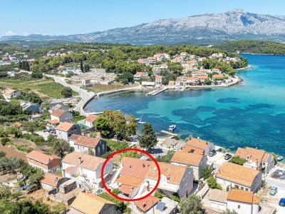 Apartment Comfortable and spacious apartment near beach Lumbarda, Korčula A-21290-a in Lumbarda - Apartment