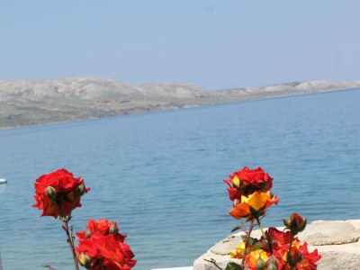 Apartment Studio flat near beach Metajna, Pag AS-6497-c - Outdoor photo 7