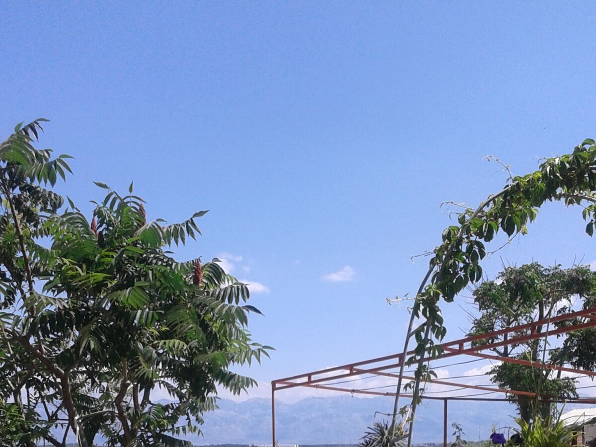 Apartment One bedroom apartment near beach Nin, Zadar A-15842-b - Outdoor photo 5