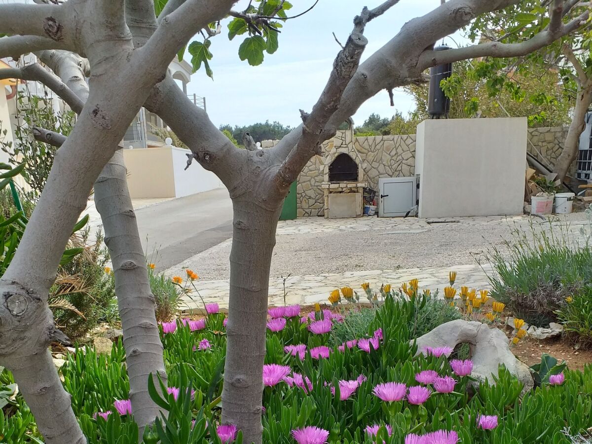 Apartment One bedroom apartment with terrace Vir - Lozice, Vir A-22083-b - Outdoor photo 2