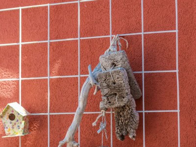 Holiday house Two bedroom house near beach Cavtat, Dubrovnik K-22828 - Outdoor photo 15