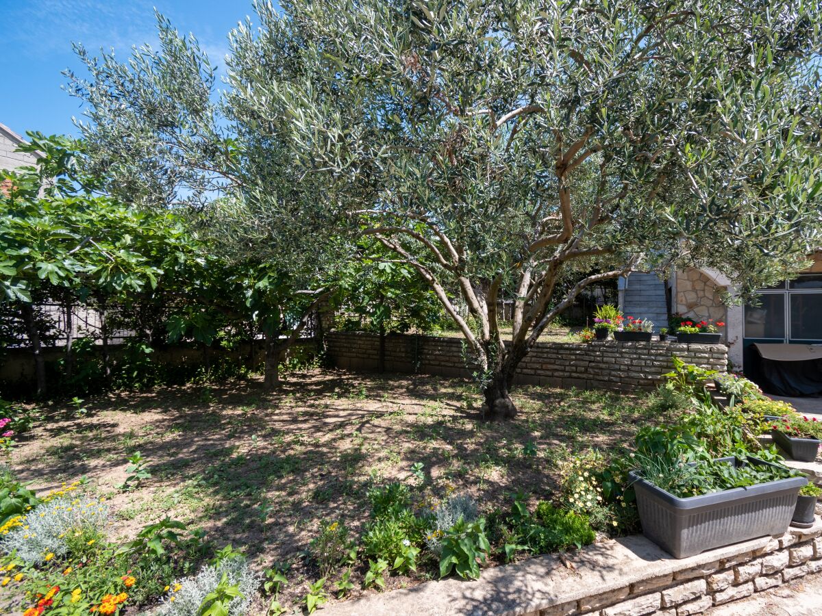 Apartment Two bedroom apartment with terrace Sveti Filip i Jakov, Biograd A-21221-a - Outdoor photo 5