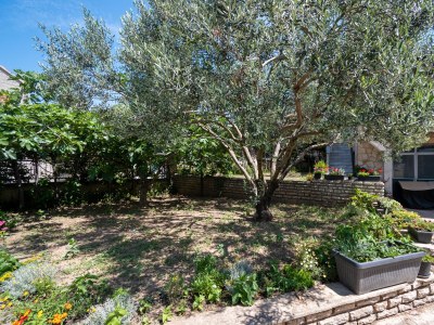 Apartment Two bedroom apartment with terrace Sveti Filip i Jakov, Biograd A-21221-a - Outdoor photo 5