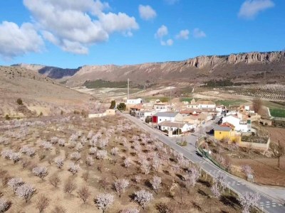 Holiday house La Chicuela Rural House in Los Villares - Environment photo 31