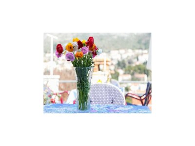 Apartment Guest House Raguz - Double Room - 4 in Dubrovnik - Apartment