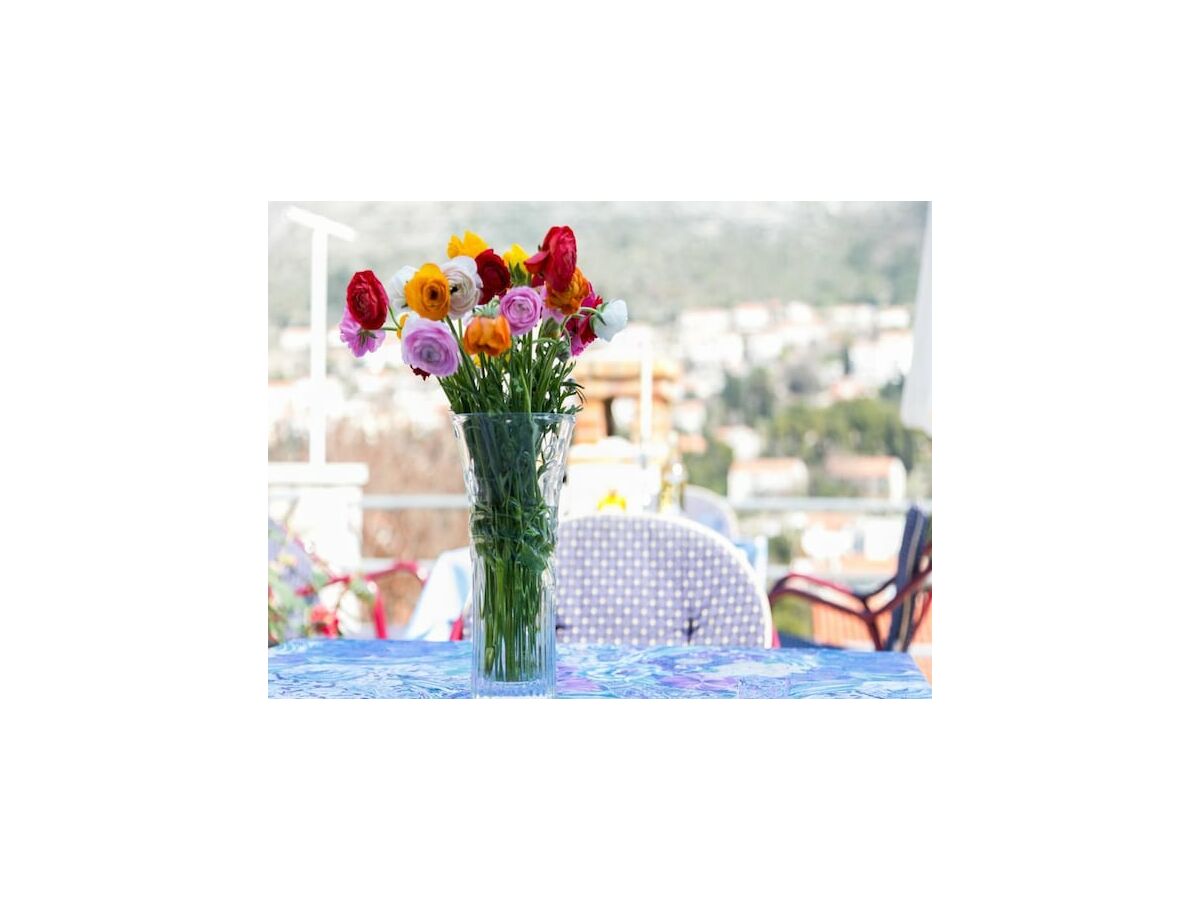 Apartment Guest House Raguz - Double Room - 6