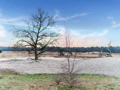 Villa Beautiful Villa in Drunen with Private Heated Pool - Environment photo 38