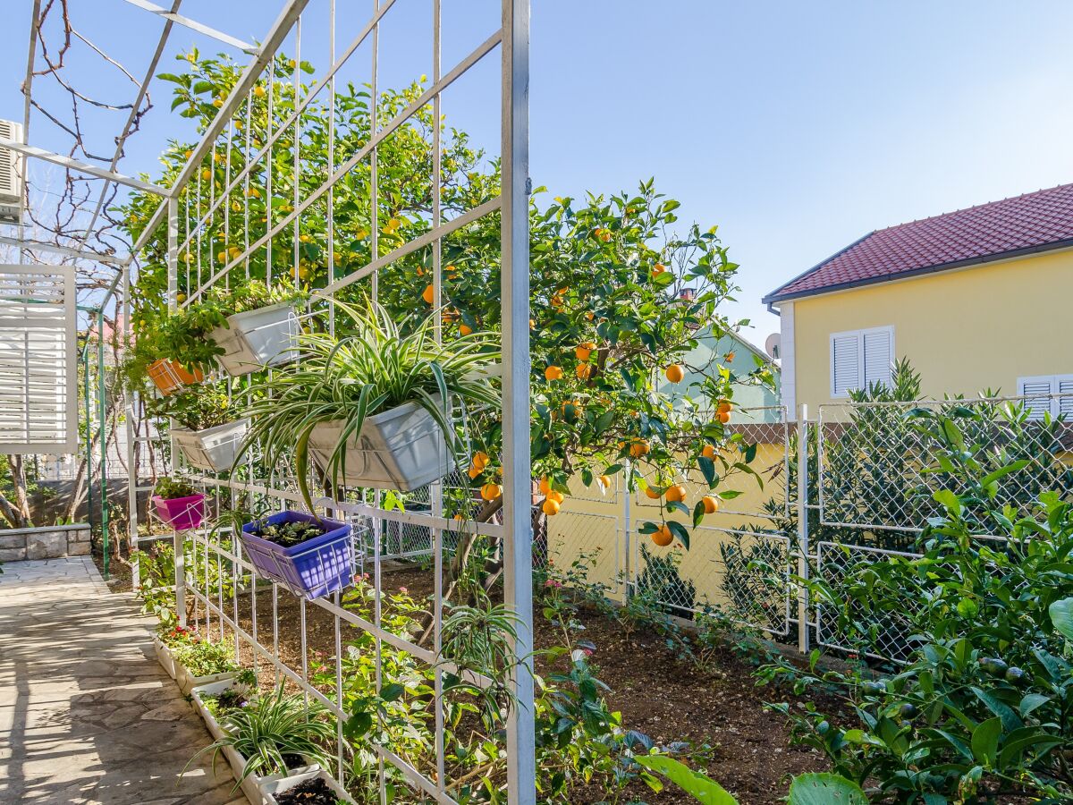 Apartment Two bedroom apartment with terrace Orebić, Pelješac A-24372-a - Outdoor photo 5